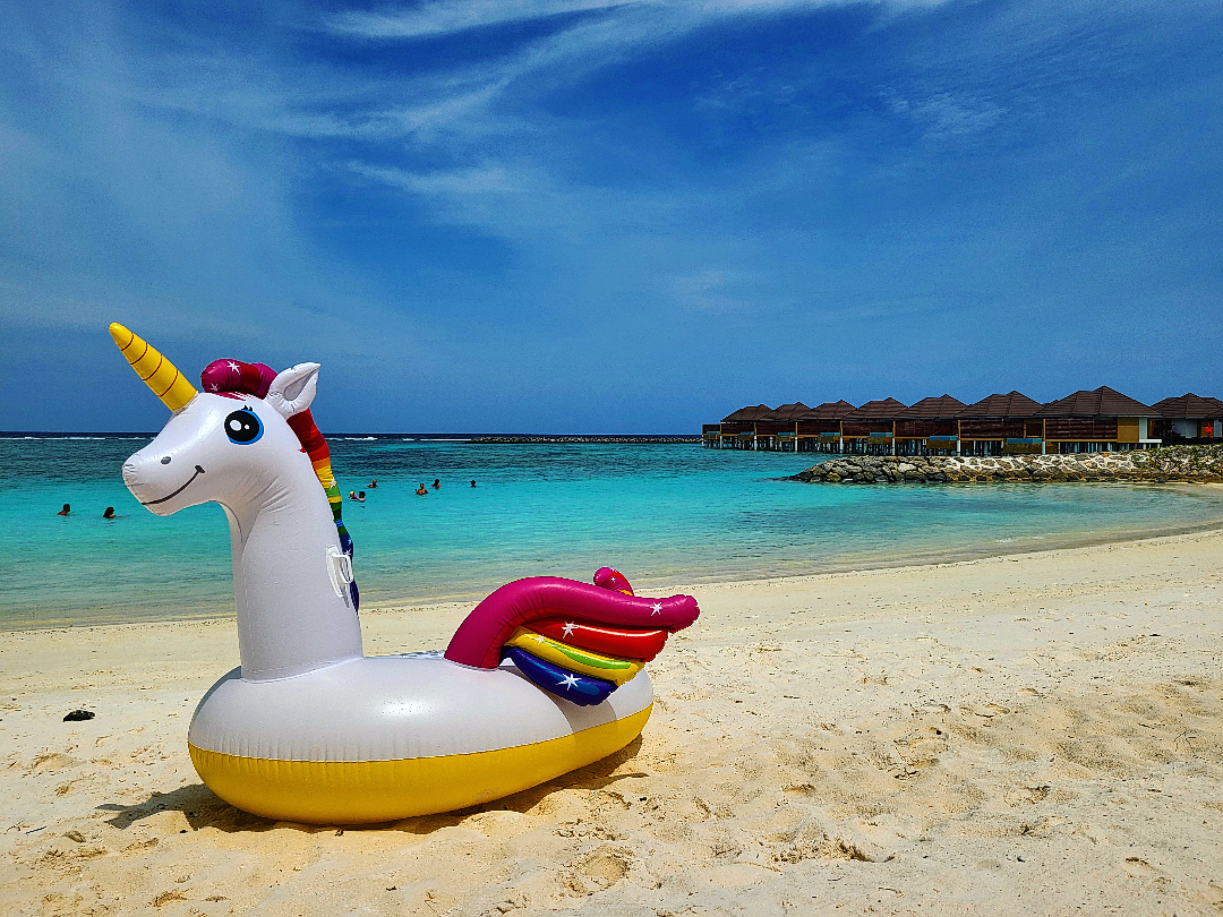 1b45cbe030f05472e93e96097d7258e3_1652171564_0494.jpg 1b45cbe030f05472e93e96097d7258e3_1652171564_0494.jpg