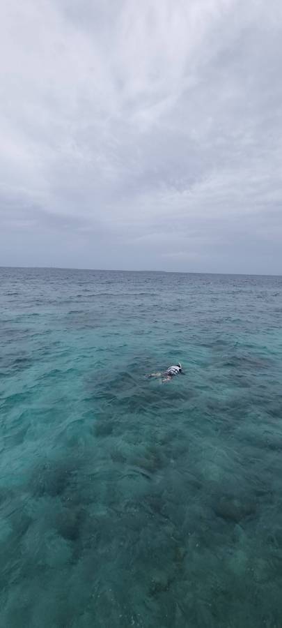 0859fe42936c2e91cfa4275d1c6daa60_1655867062_5459.jpg 0859fe42936c2e91cfa4275d1c6daa60_1655867062_5459.jpg