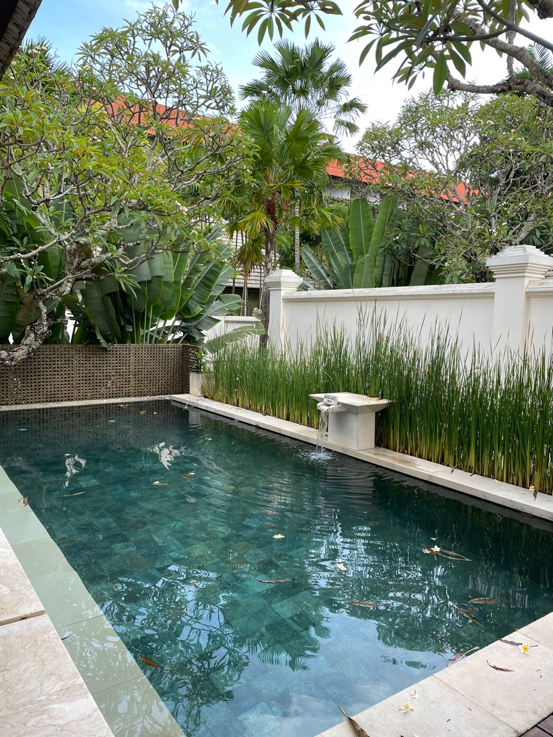 1634ae7c70cf1bfb2d5b27420716d6e8_1668483748_3266.jpg 1634ae7c70cf1bfb2d5b27420716d6e8_1668483748_3266.jpg