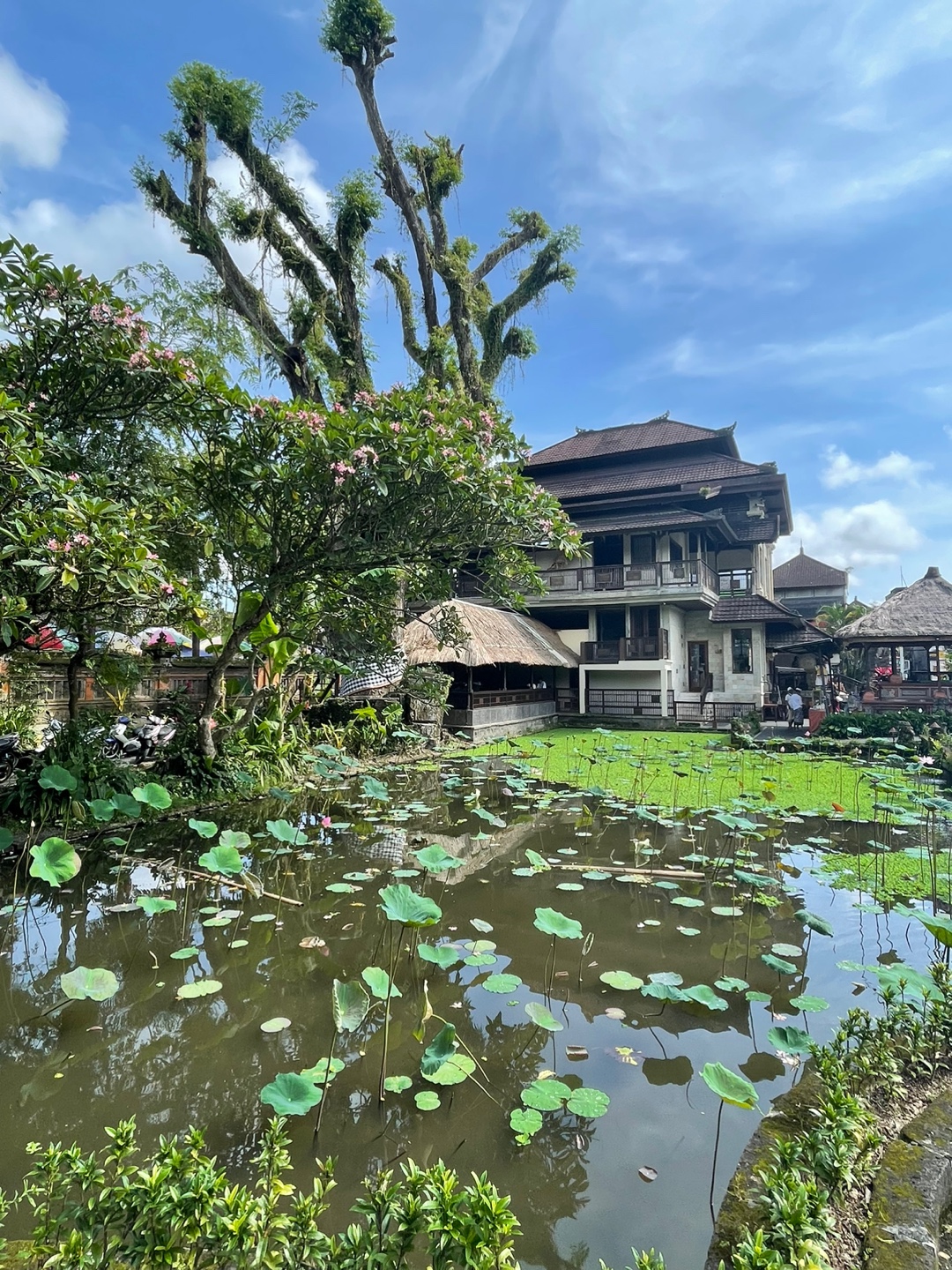 1634ae7c70cf1bfb2d5b27420716d6e8_1668483805_4753.jpg 1634ae7c70cf1bfb2d5b27420716d6e8_1668483805_4753.jpg