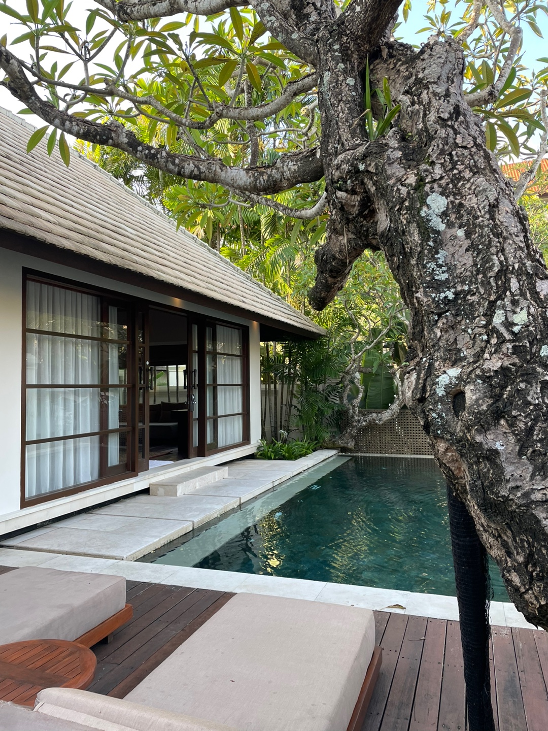 1634ae7c70cf1bfb2d5b27420716d6e8_1668483805_9666.jpg 1634ae7c70cf1bfb2d5b27420716d6e8_1668483805_9666.jpg