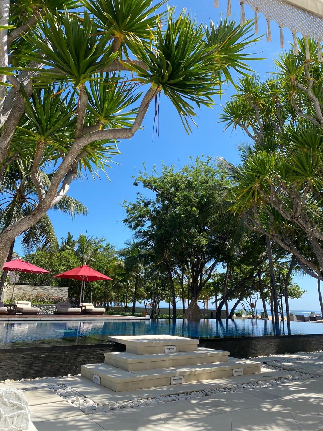 49ad06f5c6fcf6ba70b96ad939b7a03e_1668925085_2172.jpg 49ad06f5c6fcf6ba70b96ad939b7a03e_1668925085_2172.jpg