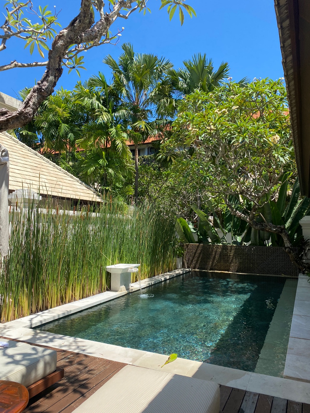 49ad06f5c6fcf6ba70b96ad939b7a03e_1668925088_6513.jpg 49ad06f5c6fcf6ba70b96ad939b7a03e_1668925088_6513.jpg