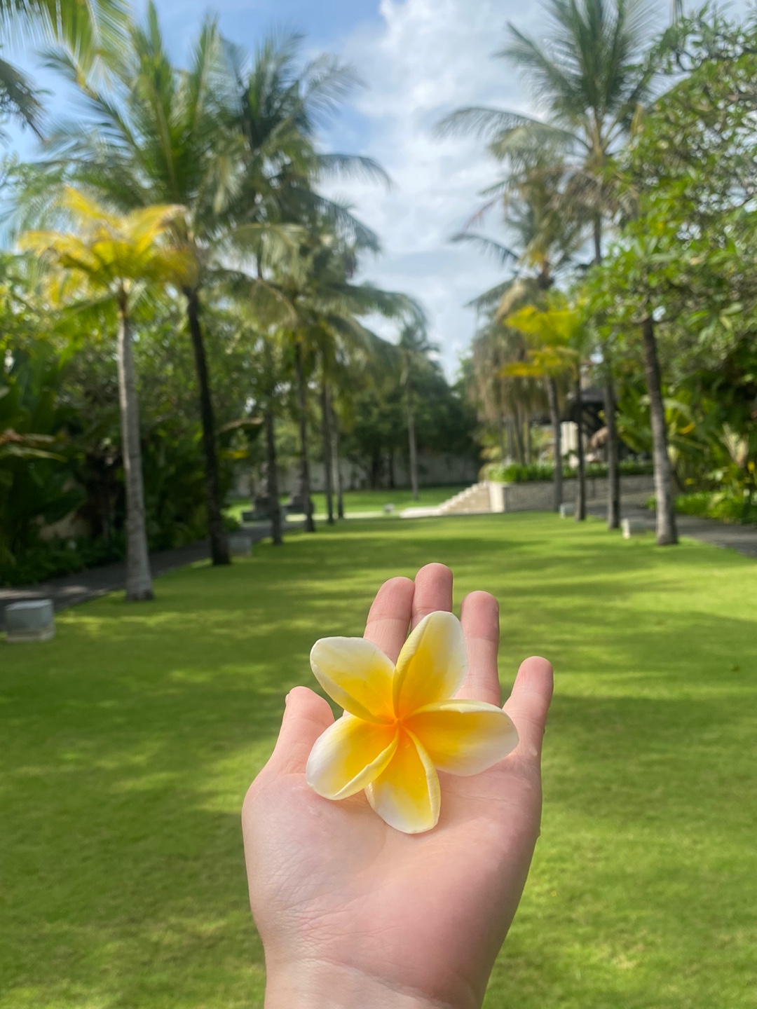 49ad06f5c6fcf6ba70b96ad939b7a03e_1668925141_4422.jpg 49ad06f5c6fcf6ba70b96ad939b7a03e_1668925141_4422.jpg